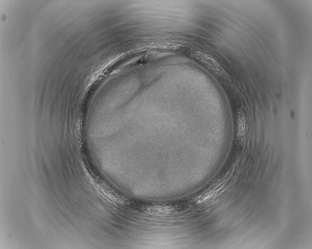 X0000059230444200511041246