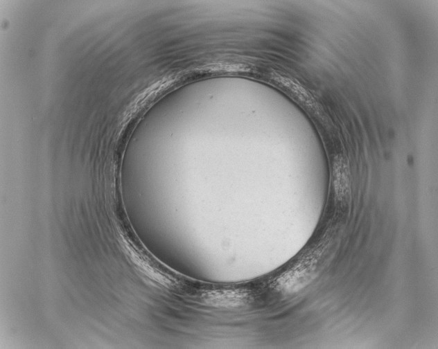 X0000059230445200511041246