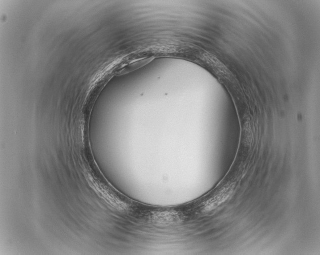 X0000059230446200511041246