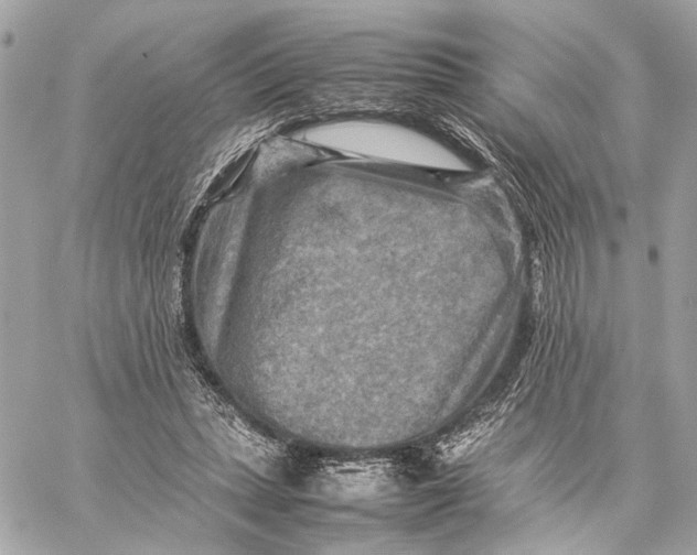 X0000059230447200511041246