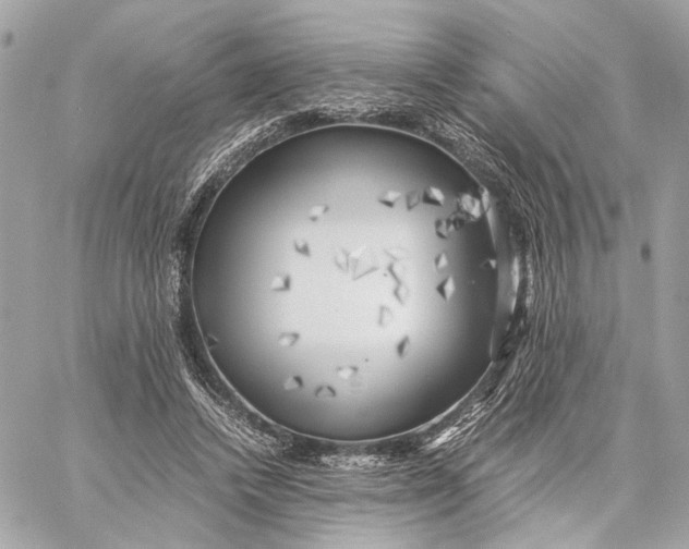 X0000059230448200511041246