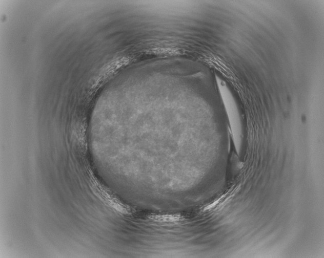 X0000059230449200511041246