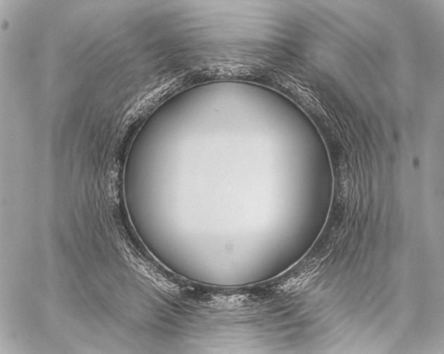 X0000059230450200511041246