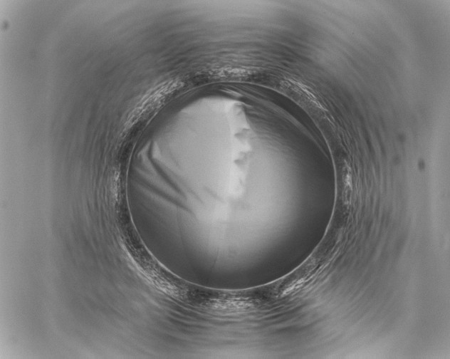 X0000059230451200511041246