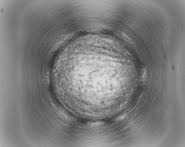 X0000059230452200511041246