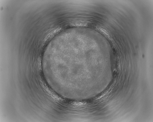 X0000059230453200511041246