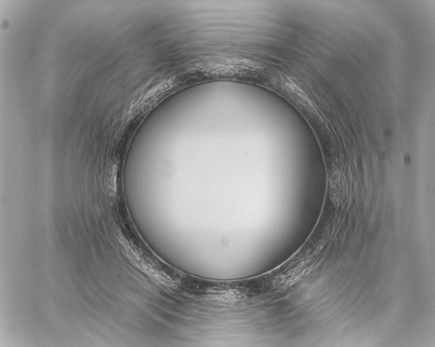 X0000059230454200511041246