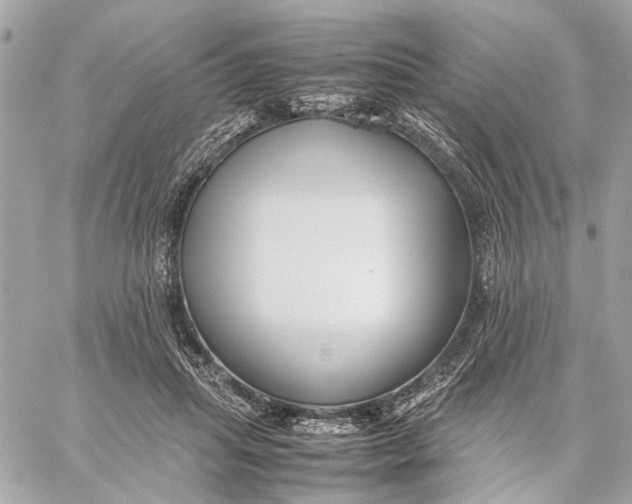 X0000059230455200511041246