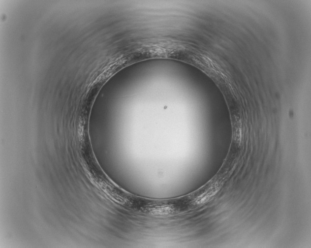 X0000059230456200511041246