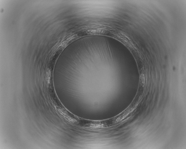 X0000059230458200511041246