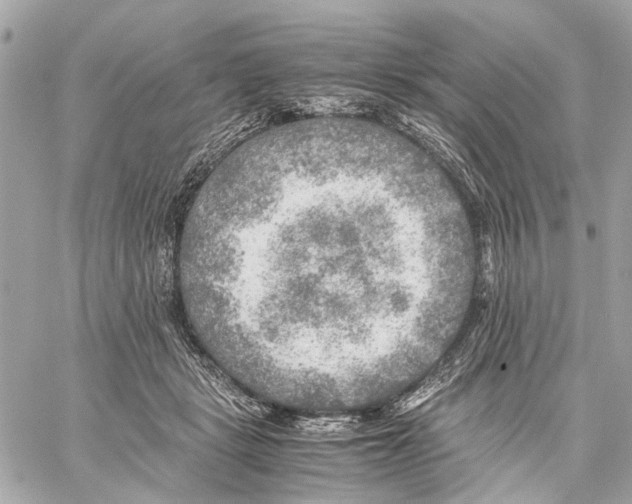 X0000059230461200511041246