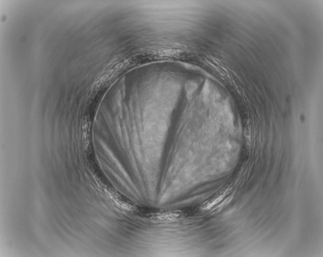 X0000059230462200511041246