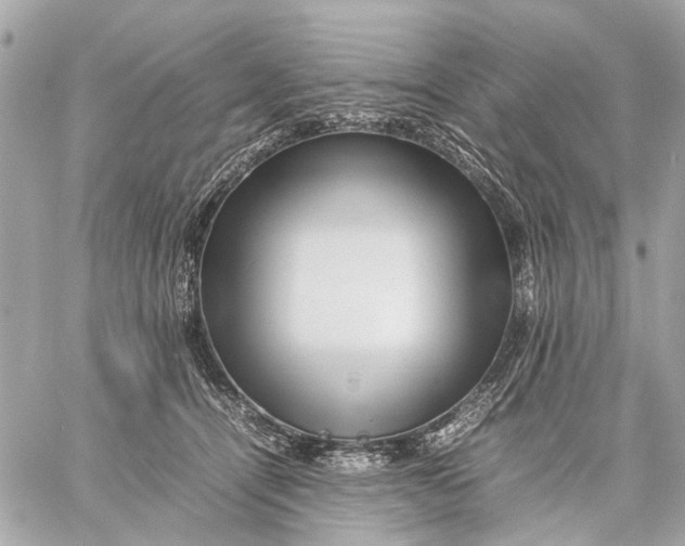 X0000059230464200511041246