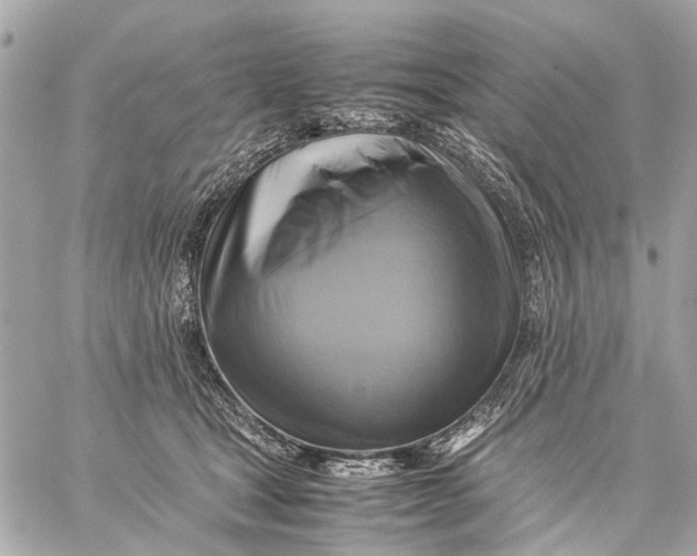 X0000059230465200511041246