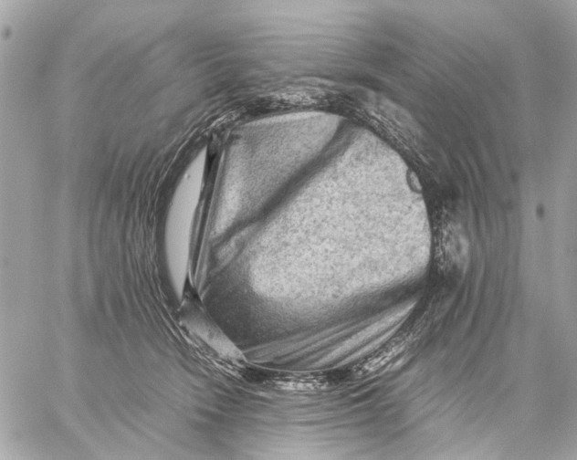 X0000059230466200511041246