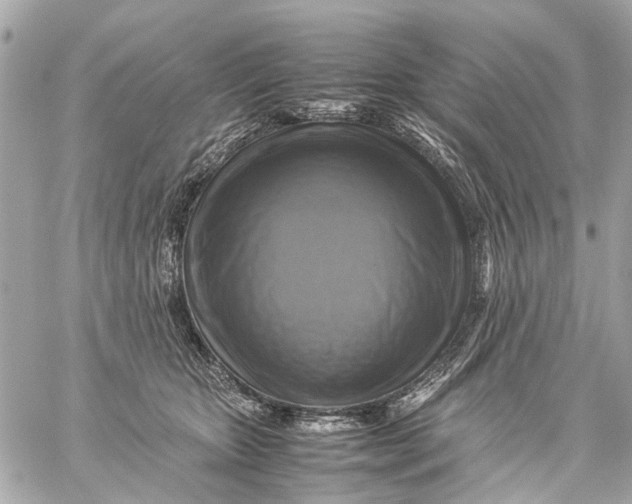 X0000059230467200511041246