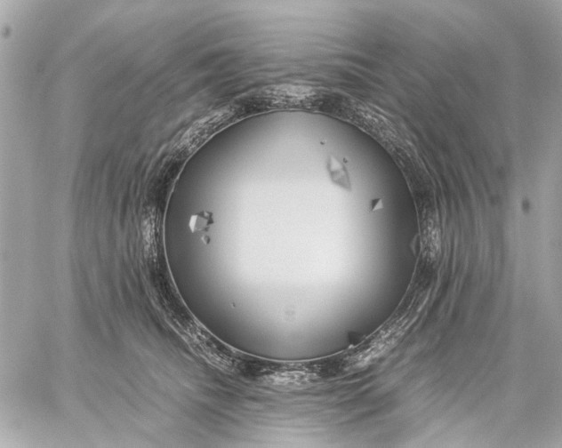 X0000059230468200511041246