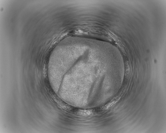 X0000059230469200511041246