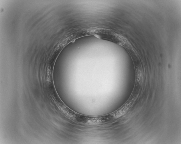 X0000059230470200511041246