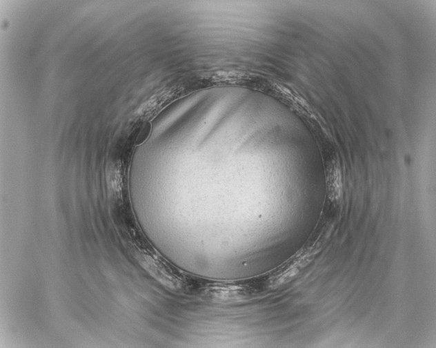 X0000059230472200511041246