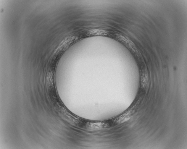 X0000059230473200511041246