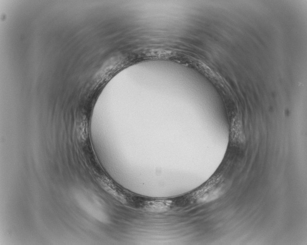 X0000059230474200511041246