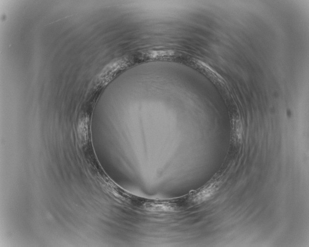 X0000059230475200511041246