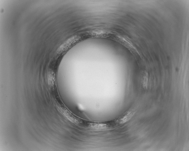 X0000059230476200511041246