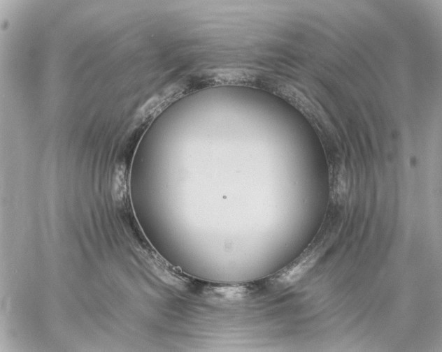 X0000059230478200511041246