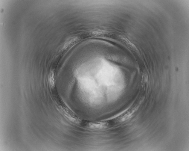 X0000059230479200511041246