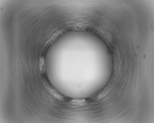 X0000059230480200511041246