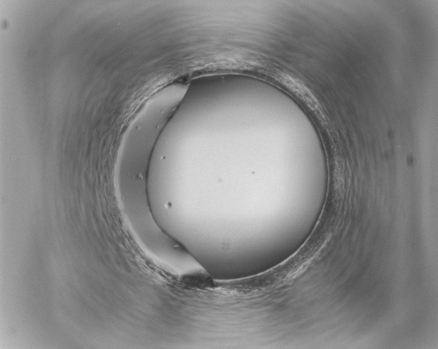 X0000059230481200511041246