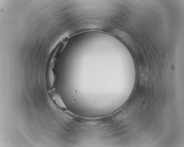 X0000059230482200511041246