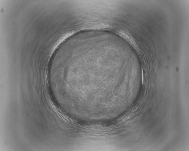 X0000059230483200511041246