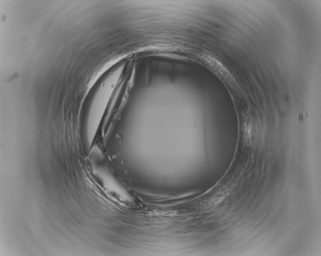 X0000059230484200511041245