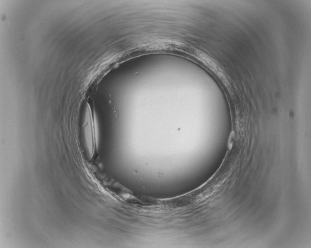 X0000059230485200511041245