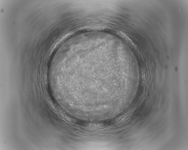 X0000059230487200511041245