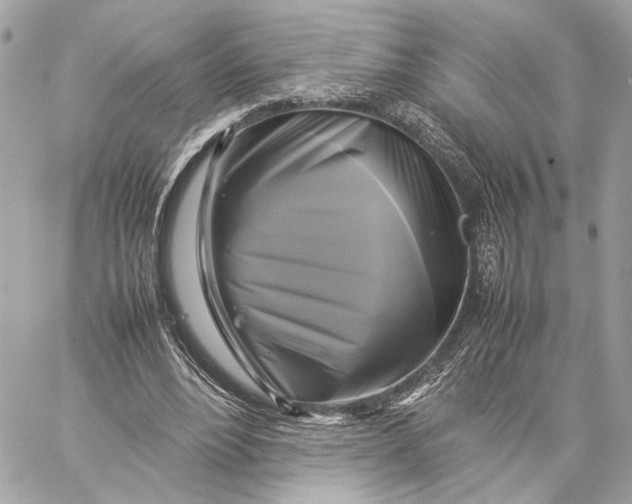 X0000059230488200511041245