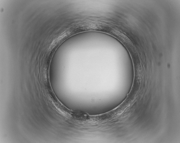 X0000059230489200511041245