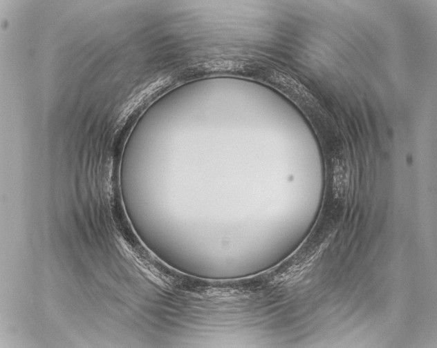 X0000059230490200511041245