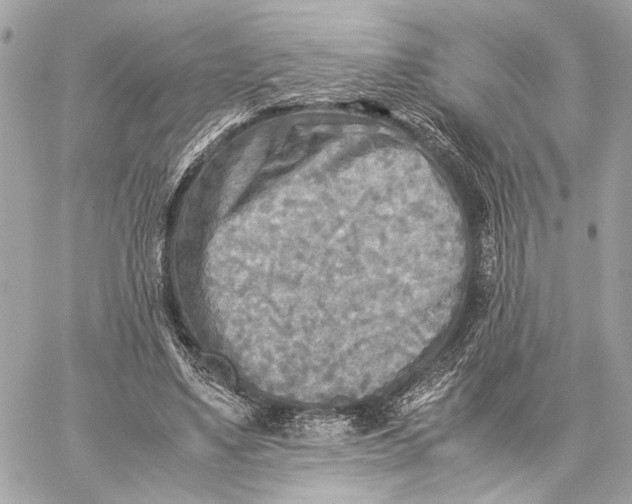 X0000059230491200511041245