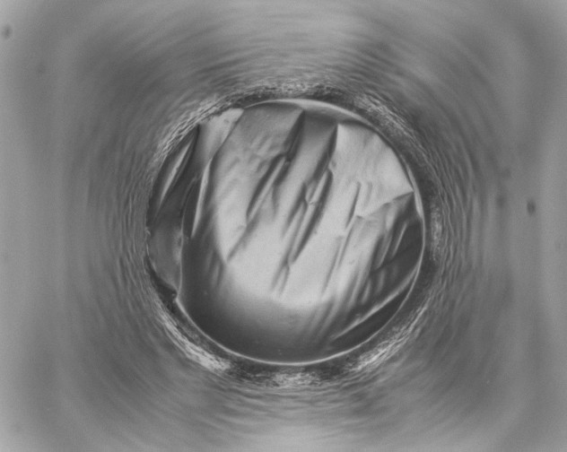 X0000059230493200511041245