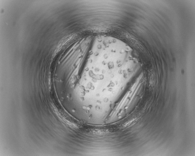 X0000059230494200511041245