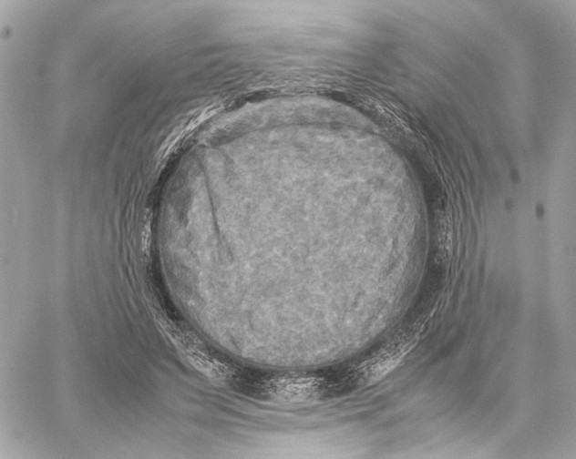 X0000059230495200511041245