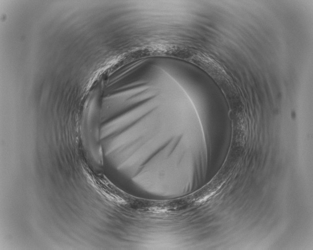 X0000059230496200511041245