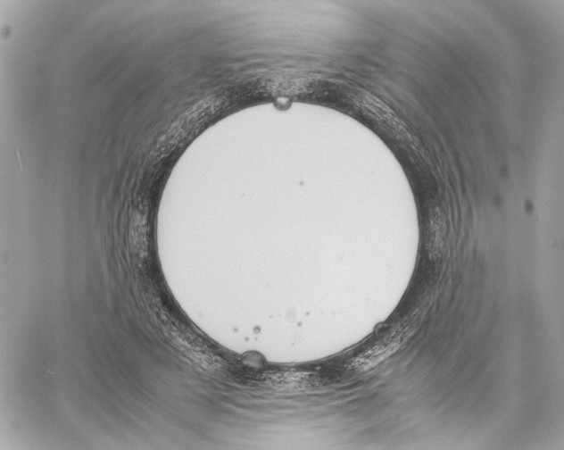 X0000059230497200511041245