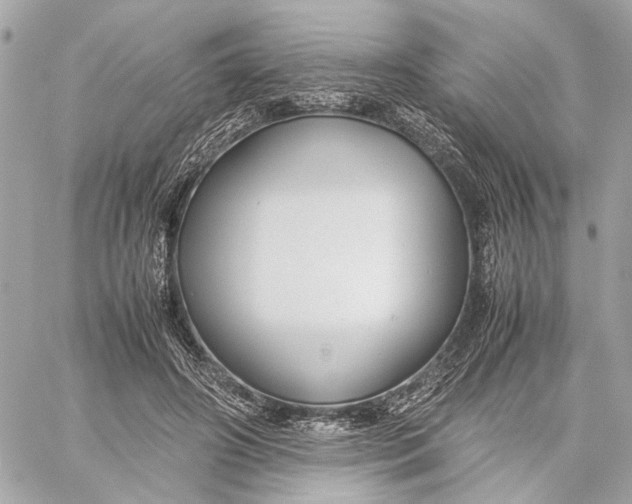 X0000059230498200511041245