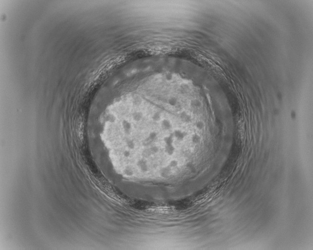 X0000059230499200511041245