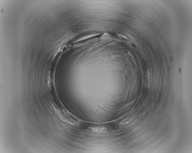 X0000059230500200511041245