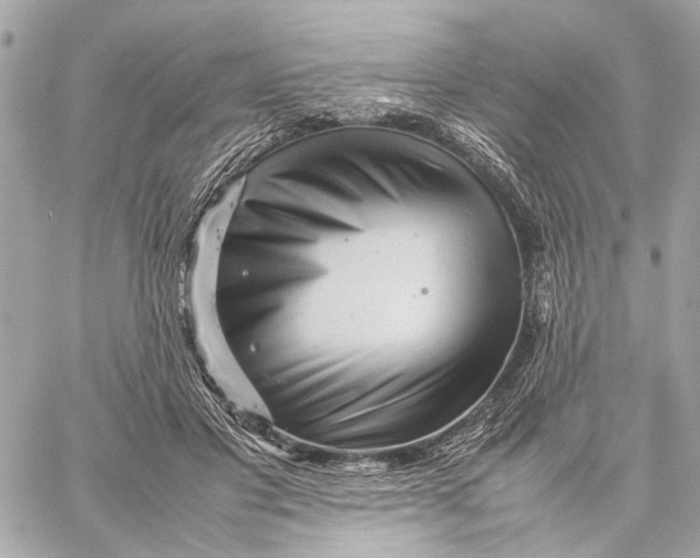 X0000059230501200511041245